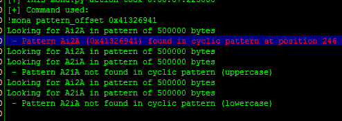 from_shellcode_to_buffer_overflow_practical_experience_13