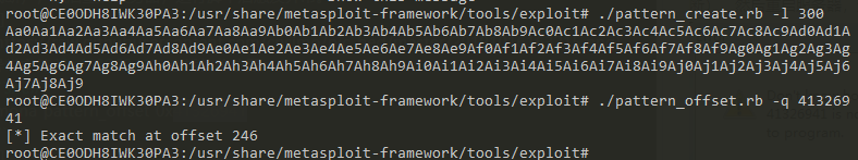 from_shellcode_to_buffer_overflow_practical_experience_15